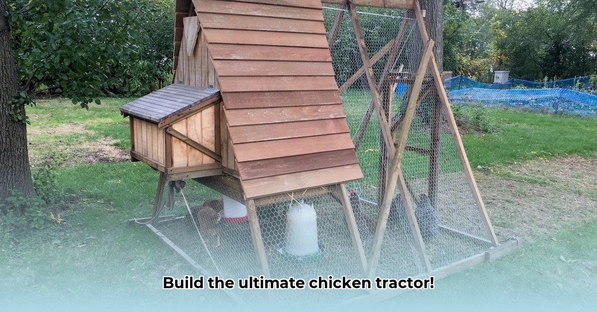chicken-tractor-a-frame